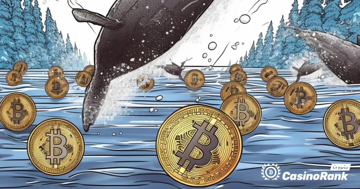Движения на китове на пазара на криптовалута: прехвърлени токени MATIC и SOL